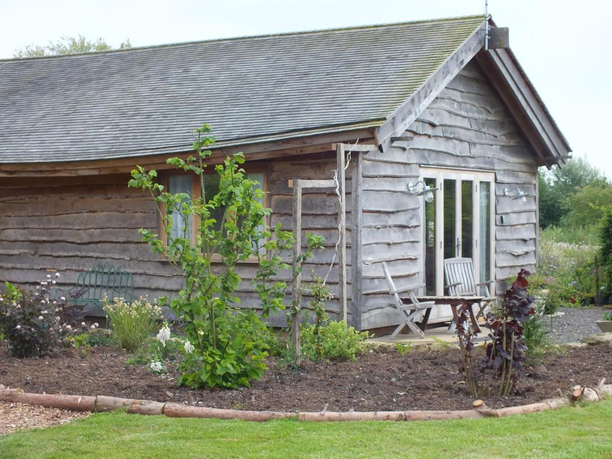 Three Oaks Nursery Chichester Extérieur photo