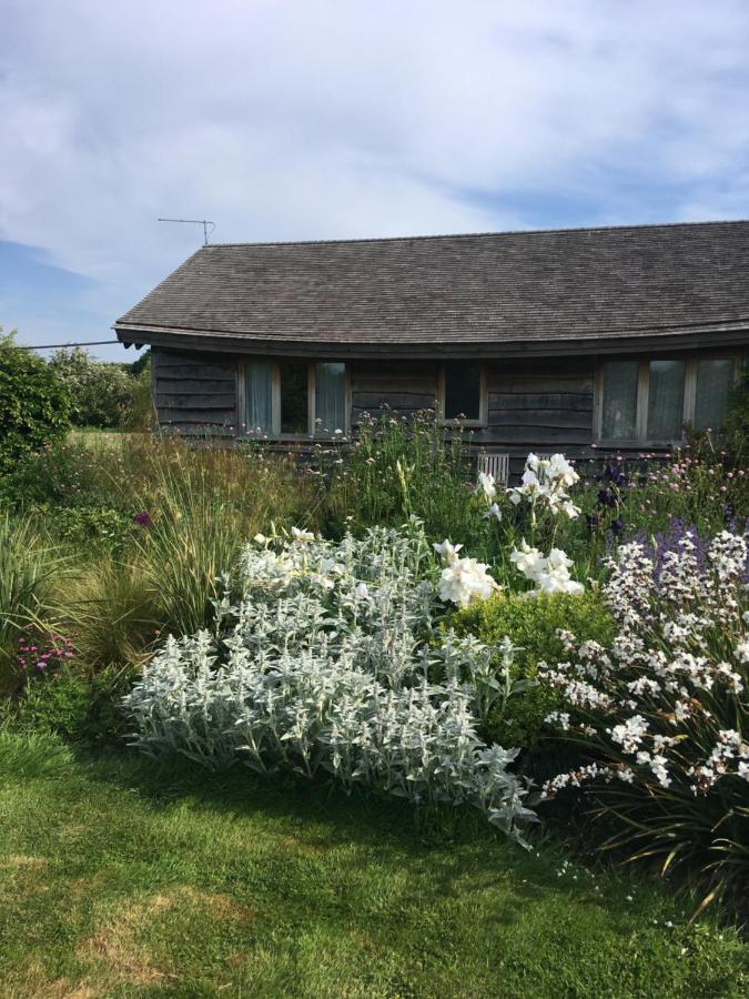 Three Oaks Nursery Chichester Extérieur photo