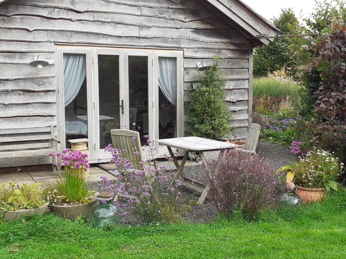 Three Oaks Nursery Chichester Extérieur photo